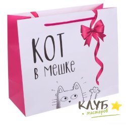 Пакет бумажный с ручками «Кот в мешке», 23 х 27 х 11,5 см