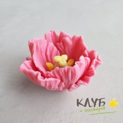 Тюльпан Флейм, форма из пищевого силикона