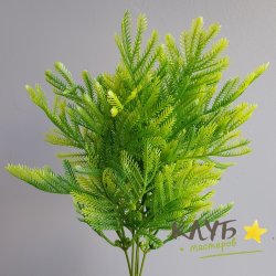 Зелень для мыльных букетов "Букет туи"