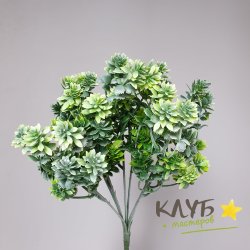 Зелень для мыльных букетов "Суккулент Молли"