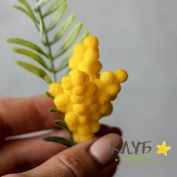 Мимоза кисточка, форма силиконовая