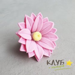 Цветок кактуса, форма из пищевого силикона