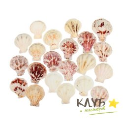 Ракушки декоративные 4-5 см, 100 г