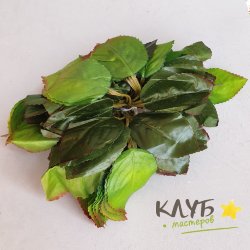 Лист розы классика (20 шт.)