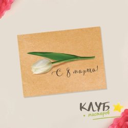 Открытка "С 8 Марта. Белый тюльпан", 8х6 см