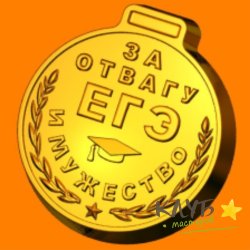 ЕГЭ 423, форма пластиковая