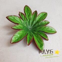 Листья пиона фактурные 20 шт.