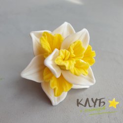 Нарцисс Желтый лев, форма из пищевого силикона