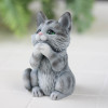 Кот Борис, форма силиконовая - миниатюра 1