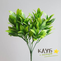 Зелень для мыльных букетов "Рускус"