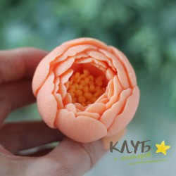 Пион Корал Голд, форма силиконовая