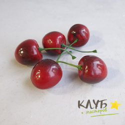 Декоративная вишня (5 шт.)