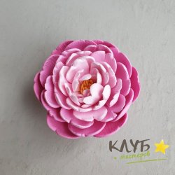 Пион Камео, форма из пищевого силикона