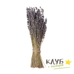 Букет лаванды (Крым)