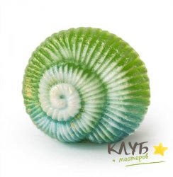 Ракушка 2, форма пластиковая