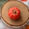 Тыква малая садовая, форма силиконовая - миниатюра 2