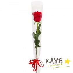Пленка цветочная конус, 80х16 см (5 шт.)