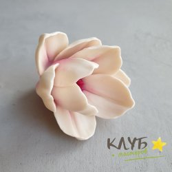 Магнолия пурпурная, форма из пищевого силикона