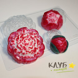 Пионы, форма пластиковая