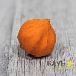 Физалис, форма силиконовая
