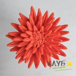 Астра игольчатая, форма из пищевого силикона