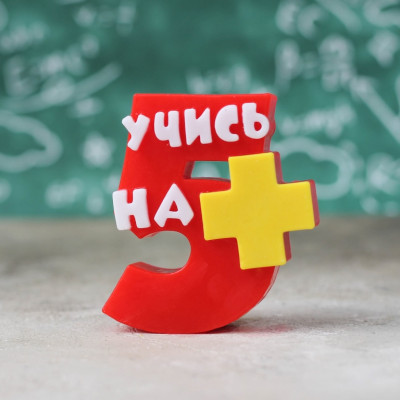Учись на пять с плюсом, форма силиконовая