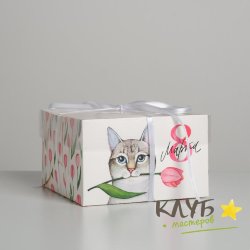 Коробка для 4-х капкейков "8 Марта. Кот с тюльпанами", 16x16x10 см (набор 10 шт.)