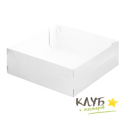 Коробка с пластиковой крышкой серебро 20х20х7 см (набор 9 шт.)