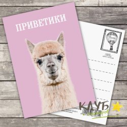 Открытка "Приветики", 10,5х7,5 см