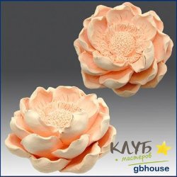 Азиатская магнолия, форма силиконовая