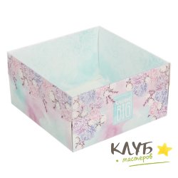Коробка с пластиковой крышкой "Большие мечты", 12х11,5х6 см