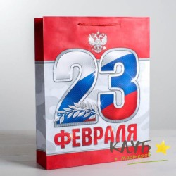 Пакет с ручками ламинированный «23 Февраля!», 12х15х5,5 см