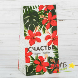 Пакет бумажный "Счастье ждет", 10х19,3х7 см