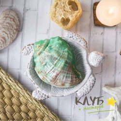 Ракушка Рапана, форма пластиковая