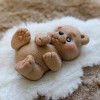 Мишка Душка с декором 2D, набор силиконовых форм - миниатюра 4