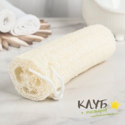 Люфа средняя