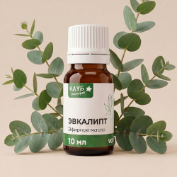 Эвкалипт 10 мл, эфирное масло