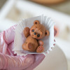 Мишка Брауни, молд для шоколада - миниатюра 5