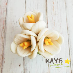 Форма-конструктор силиконовая "Крокусы (верх)"