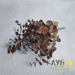 Зелень для мыльных букетов "Эвкалипт Red Berry"