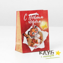 Пакет с ручками крафтовый «Лови звезду. Тигр», 12х15х5,5 см