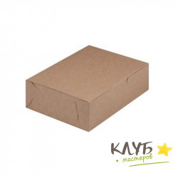 Коробка крафт 20х15х6 см