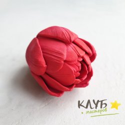 Тюльпан Феникс, форма силиконовая