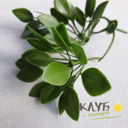Листья клевера (набор 3 шт.)