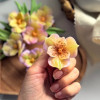 Альстромерия Мэри, форма из пищевого силикона - миниатюра 7