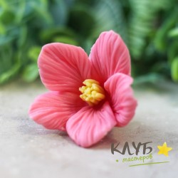 Космея Экзотик, форма из пищевого силикона