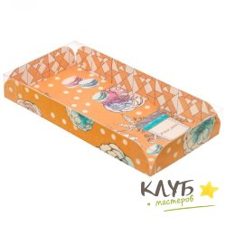 Коробка с пластиковой крышкой "Твой день", 21х10,5х3 см