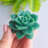 Суккулент Каменная роза, форма из пищевого силикона - миниатюра 2