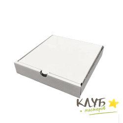 Коробка для пиццы/пирога (микрогофрокартон) 25х25х4 см (4 шт.)