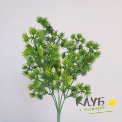 Зелень для мыльных букетов "Сосна мелкоцветковая"